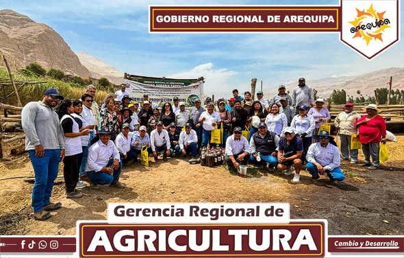 Promueven buenas prácticas agrícolas en cultivo de arroz en Castilla
