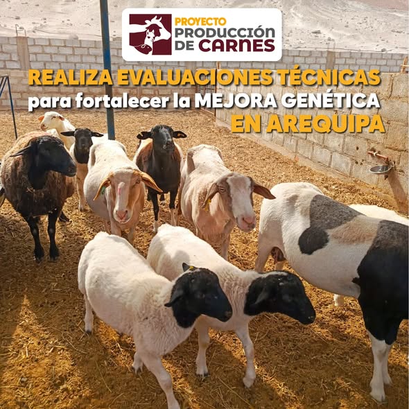 Estado y empresas privadas articulan acciones para impulsar la biotecnología pecuaria en Arequipa.