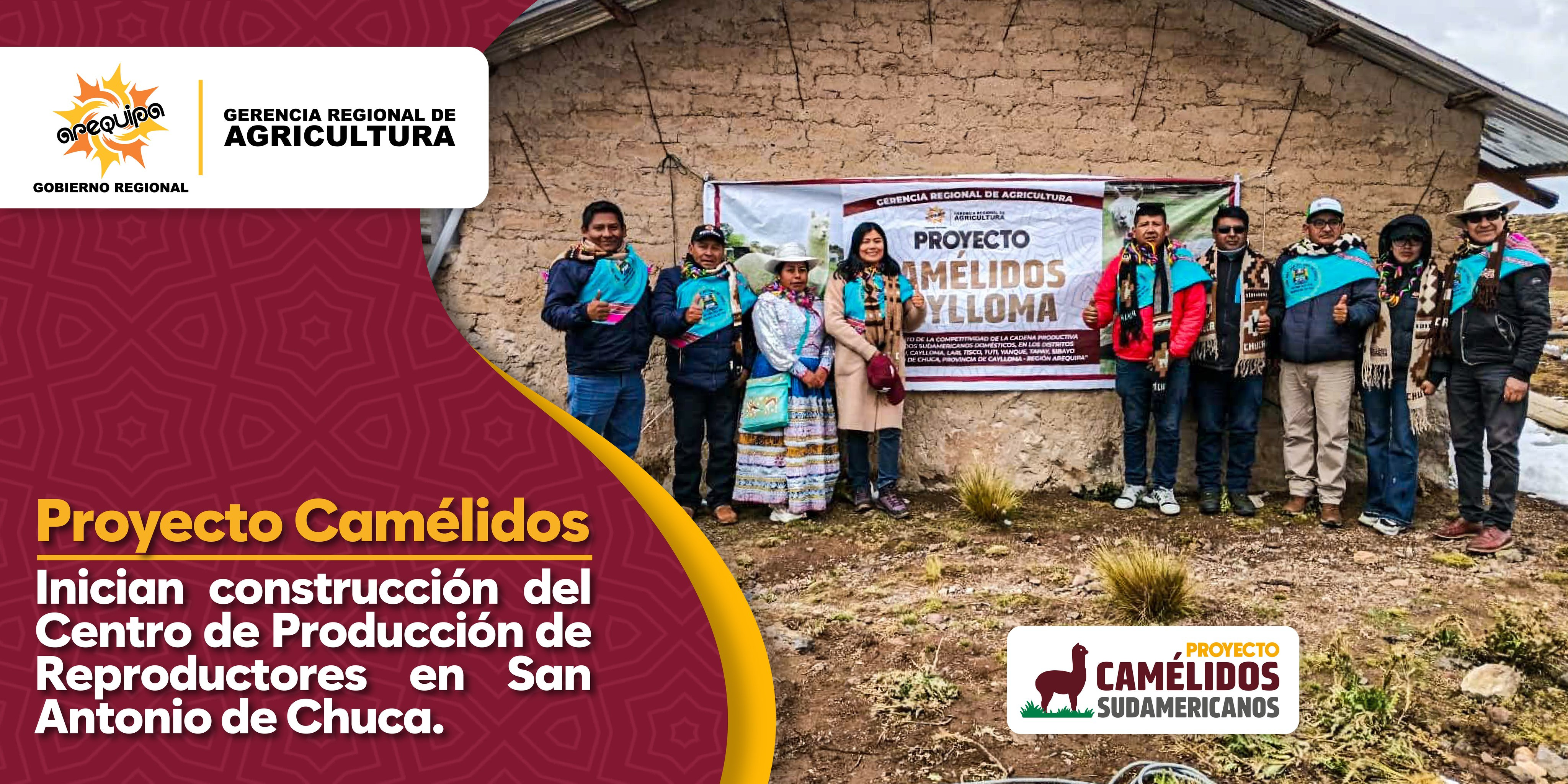 🐪🤝 COLOCACIÓN DE LA PRIMERA PIEDRA DEL CENTRO DE PRODUCCIÓN DE REPRODUCTORES (CPR) EN SAN ANTONIO DE CHUCA