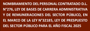 NOMBRAMIENTO D.L. 276