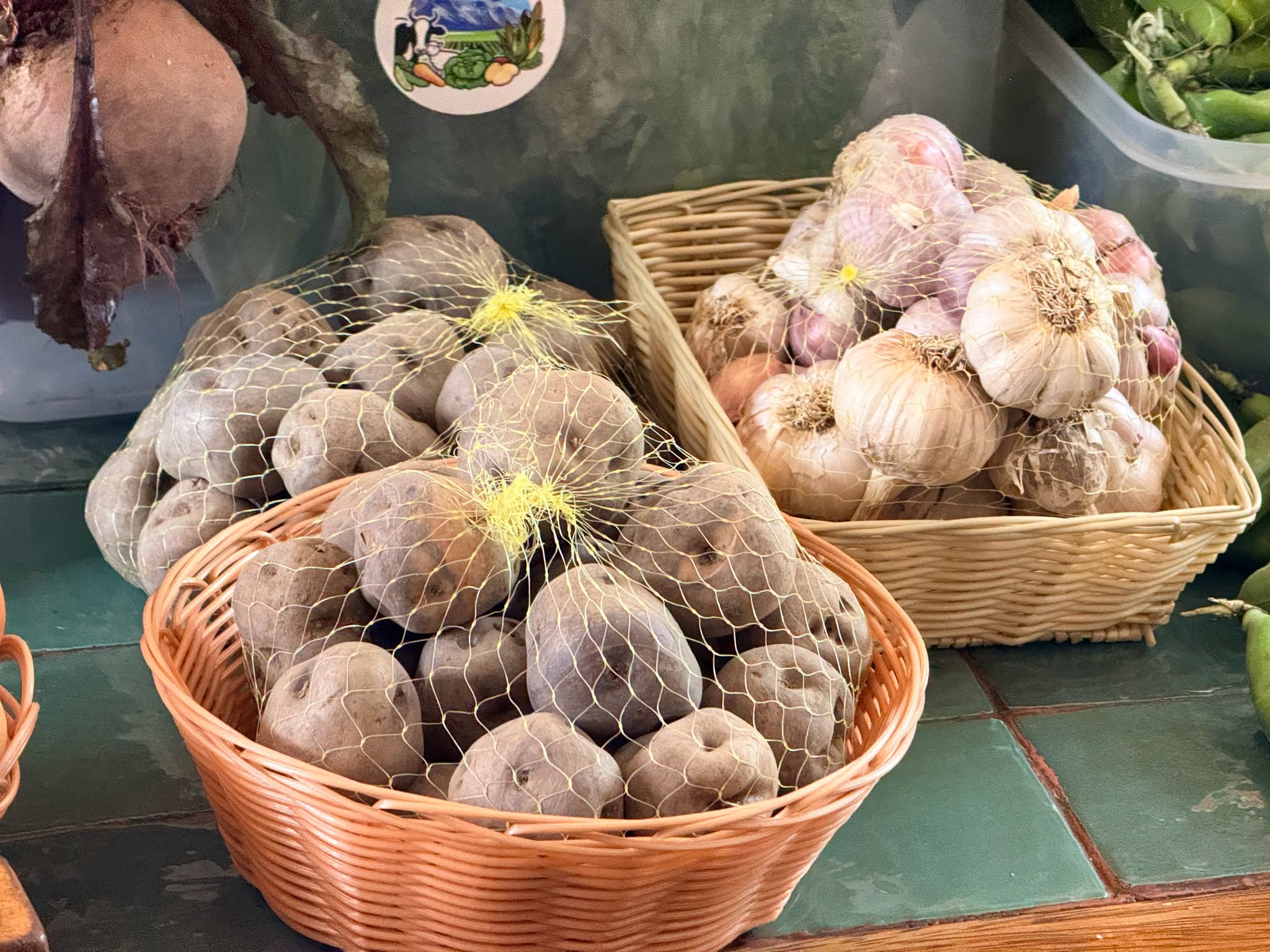 alianzaProductoresGastronomia4