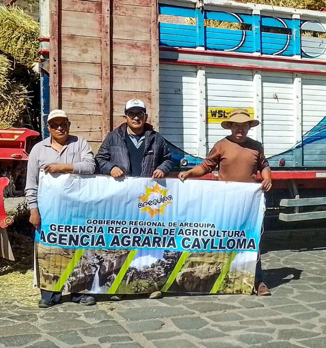 henoGanado2