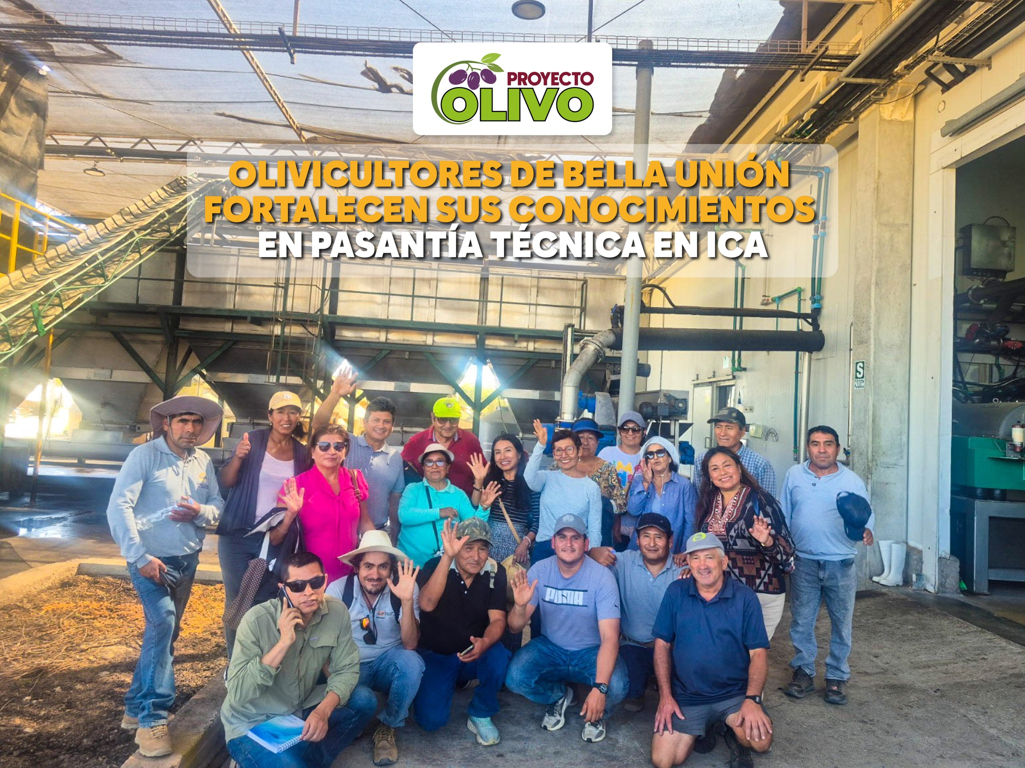 🫒OLIVICULTORES DE BELLA UNIÓN FORTALECEN SUS CONOCIMIENTOS EN PASANTÍA TÉCNICA EN ICA
