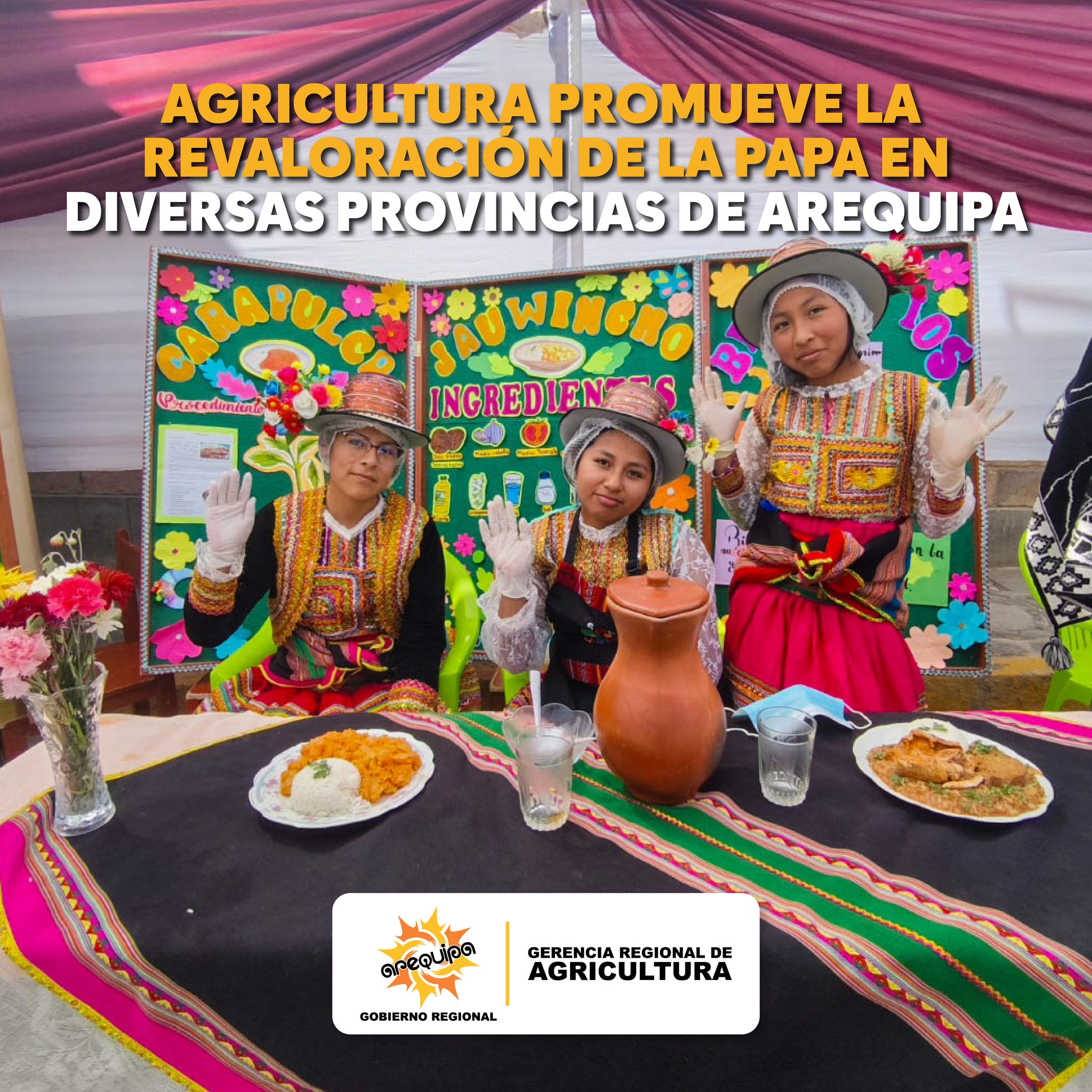 🥔 GERENCIA REGIONAL DE AGRICULTURA PROMUEVE LA REVALORACIÓN DE LA PAPA EN DIVERSAS PROVINCIAS DE AREQUIPA