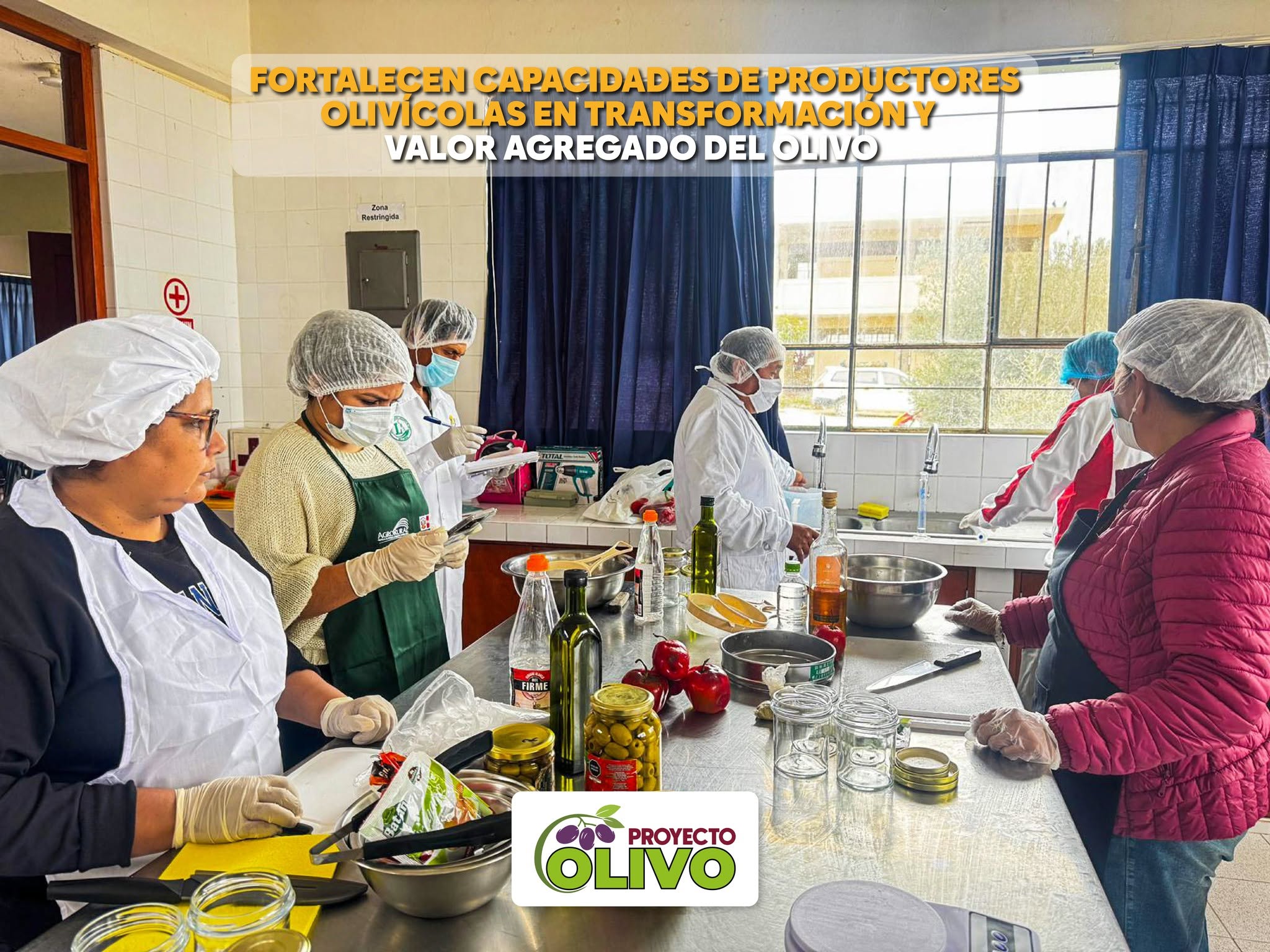 FORTALECEN CAPACIDADES DE PRODUCTORES OLIVÍCOLAS EN TRANSFORMACIÓN Y VALOR AGREGADO DEL OLIVO
