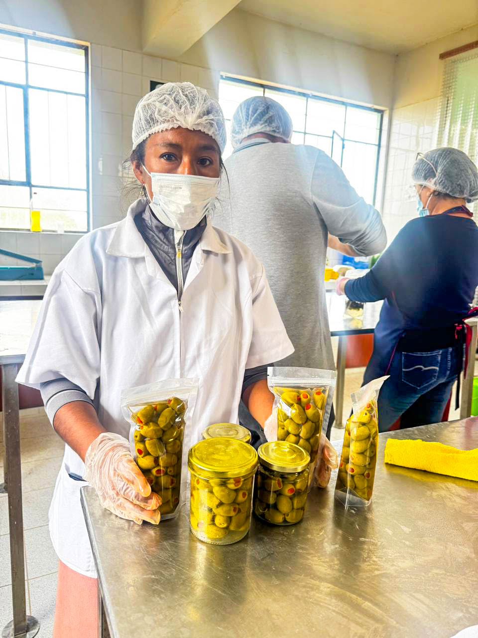 transformacion agregado olivo3